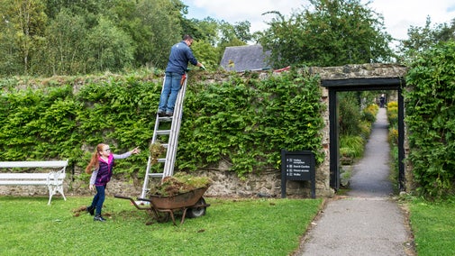 Gardener working to clear debris from a wall with help from a young volunteer at Springhill, County Londonderry, Northern Ireland.